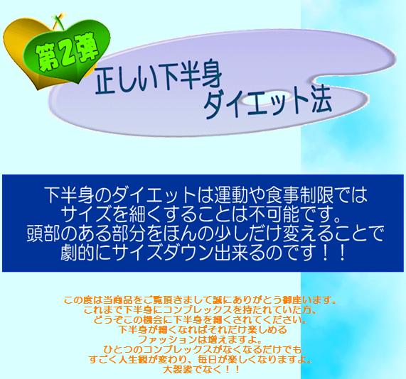 ���� �_�C�G�b�g �^��