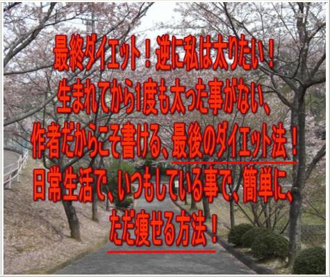 ���� �_�C�G�b�g �^��